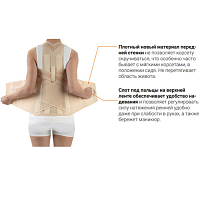 Корсет грудо-пояснично-крестцовый для взрослых Orliman