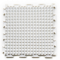 Коврик модульный Орто Льдинки (жесткий)