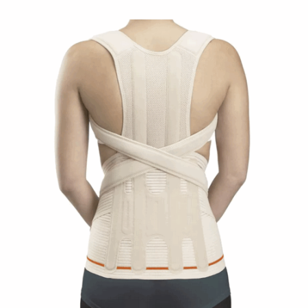 Модуль для бандажа грудо-поясничного Dorso Evotec, арт. EV-203