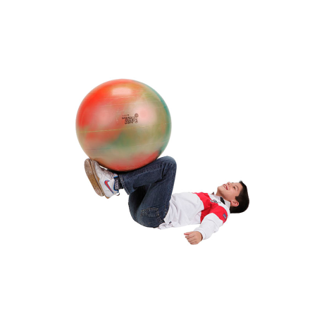 Мяч Gymnic ARTE fantasy 65 см, арт. 95.36