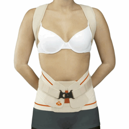 Модуль для бандажа грудо-поясничного Dorso Evotec, арт. EV-203