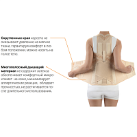 Корсет грудо-пояснично-крестцовый для взрослых Orliman