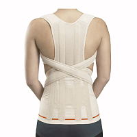 Модуль для бандажа грудо-поясничного Dorso Evotec