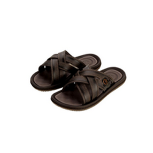 Мужские шлепанцы, полимер, арт.12317-BF014